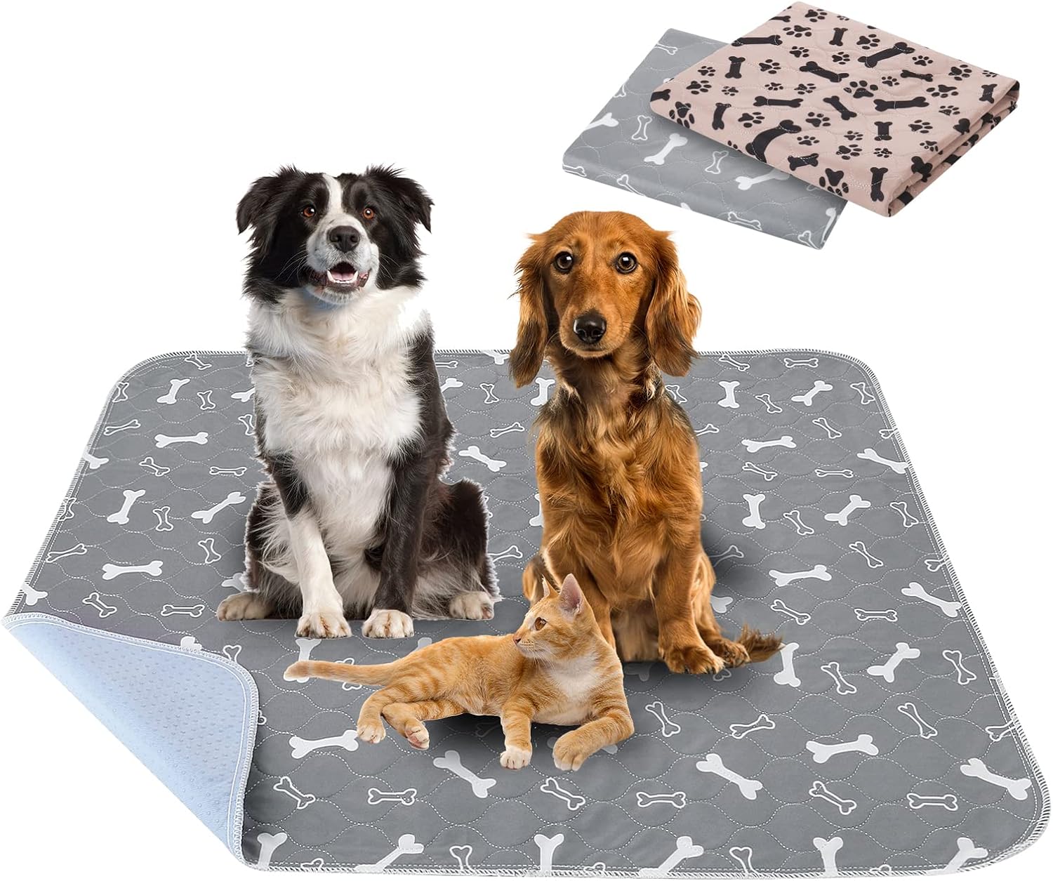 Tappetini Lavabili per Cani